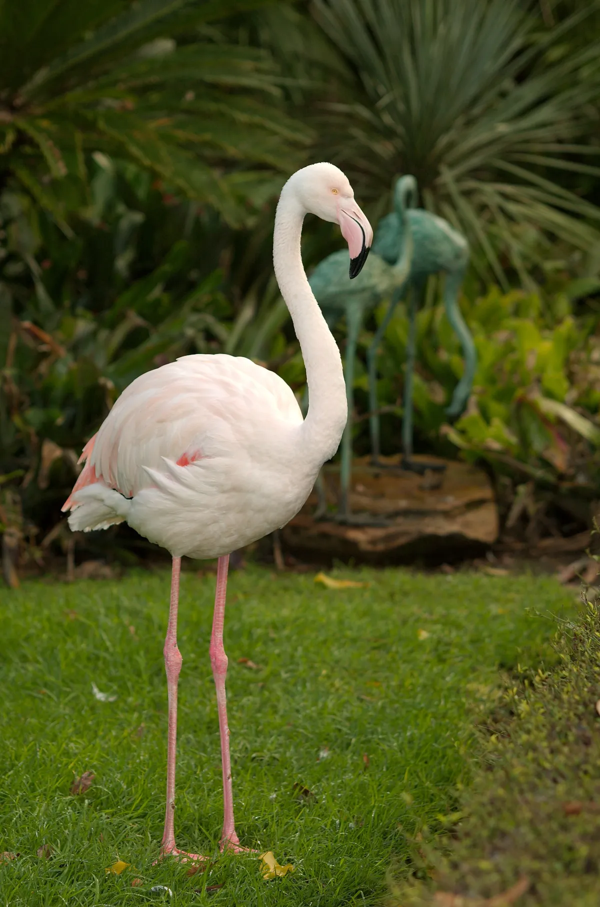 Adelaide Zoo
