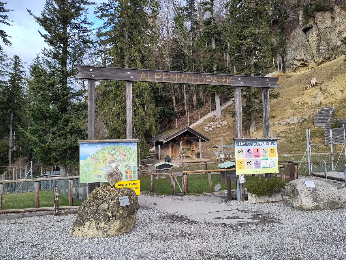 Alpenwildpark Pfänder