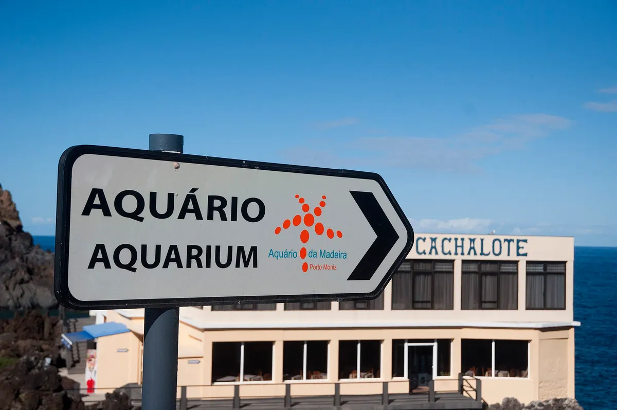 Aquário da Madeira