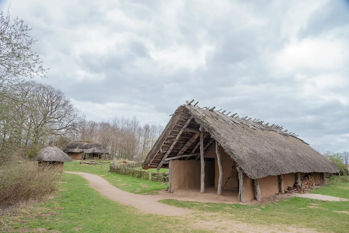 Arche Warder