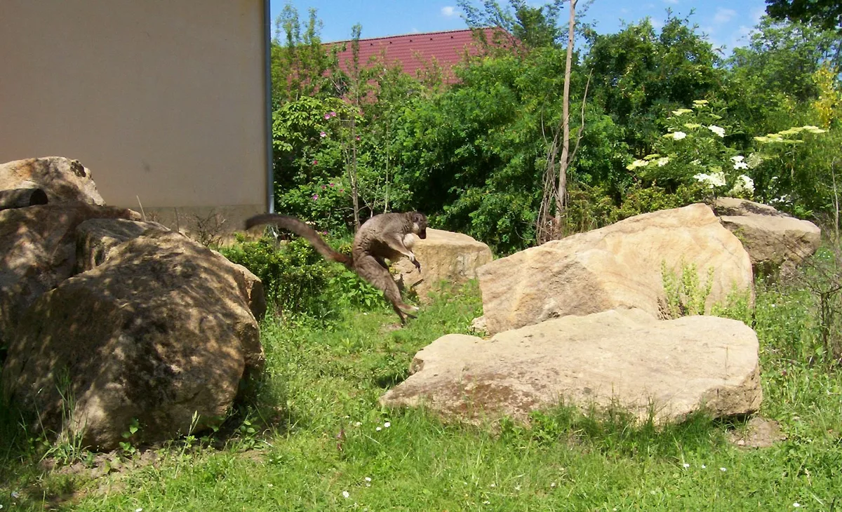 areály Zoo Plzeň