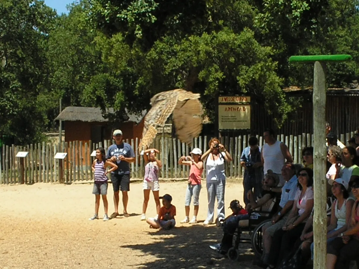 Badoca Safari Park