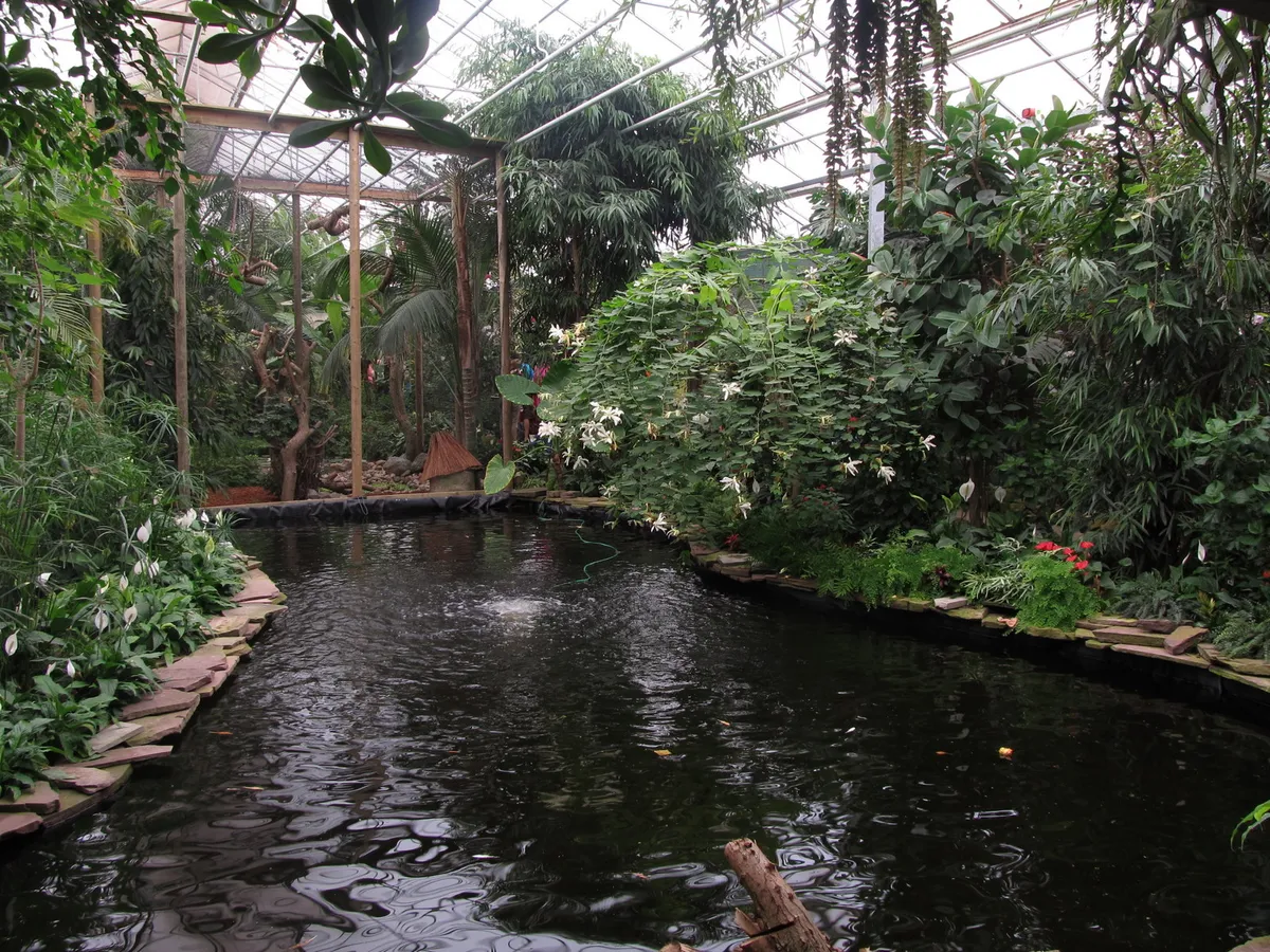 Berkenhof Tropical Zoo