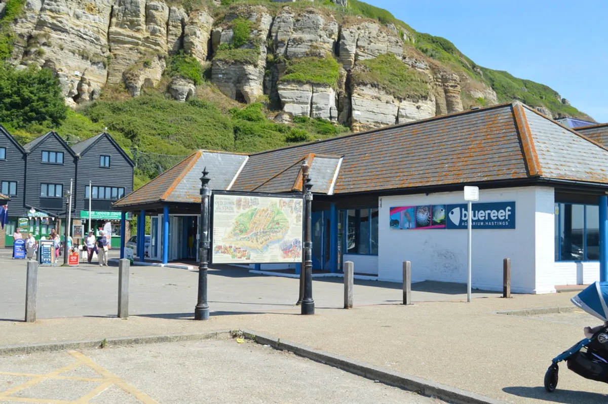 Blue Reef Aquarium