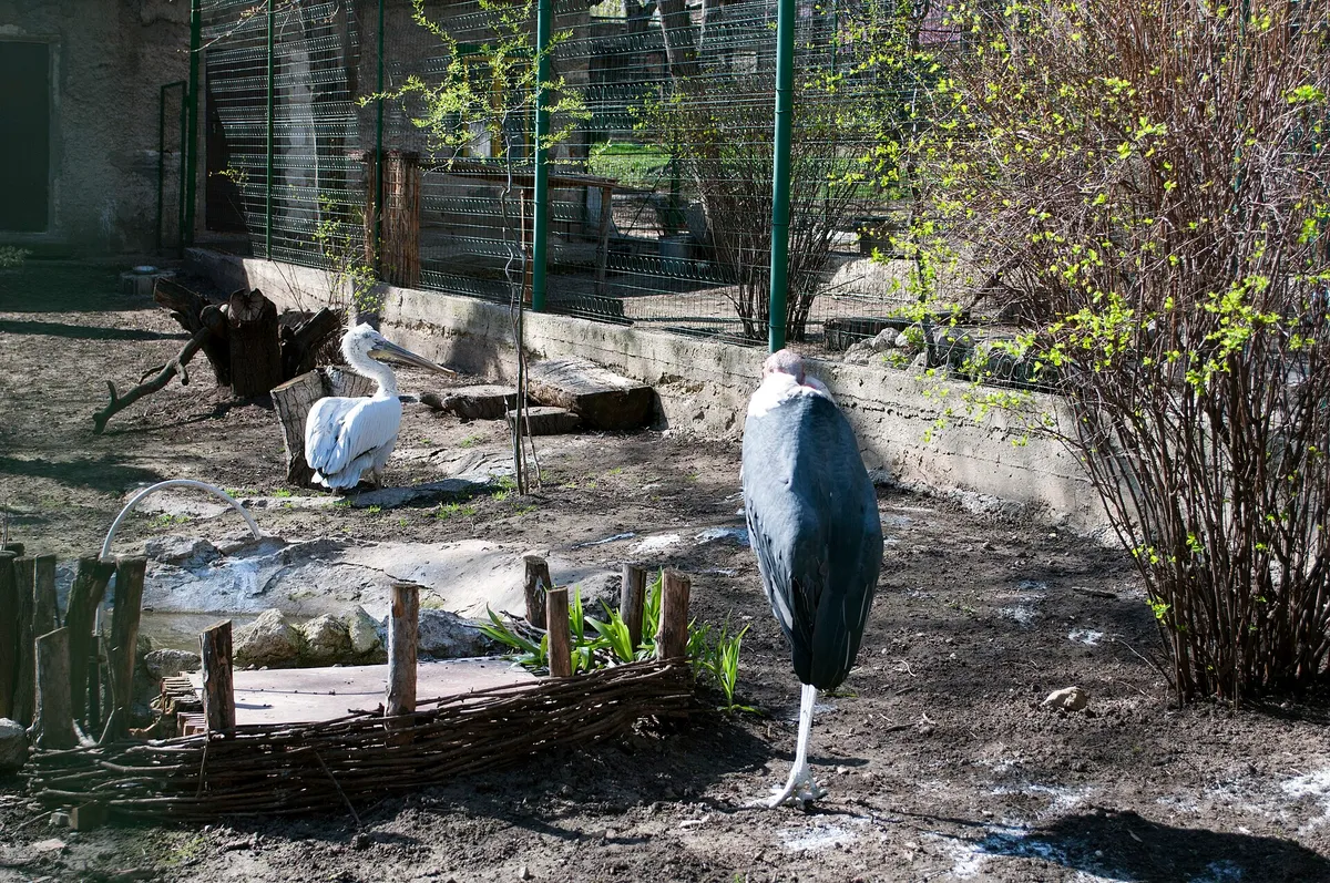 Grădina Zoologică din Chișinău