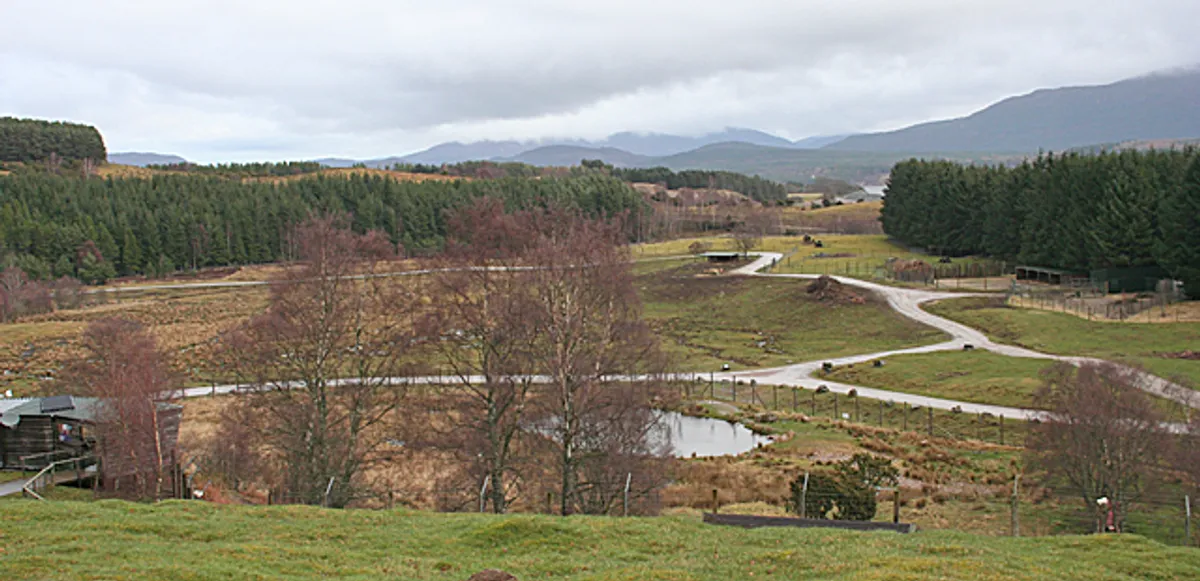 Highland Wildlife Park