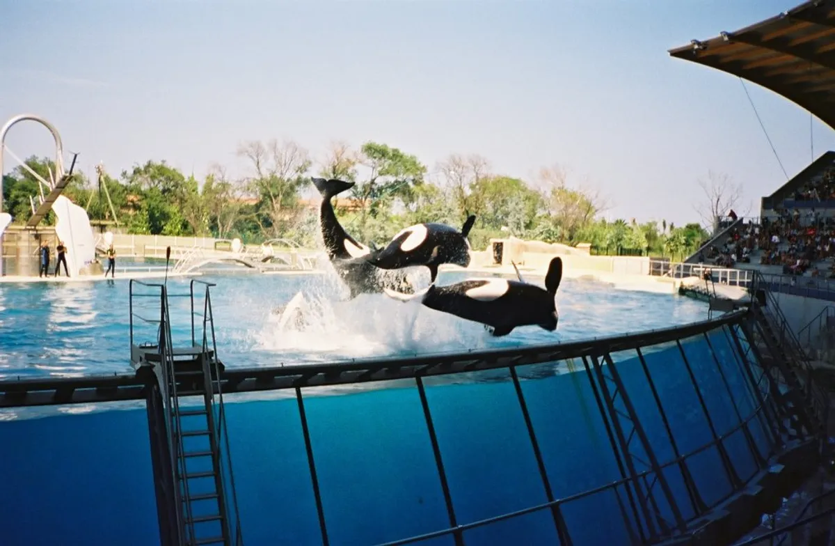 Marineland (closed)