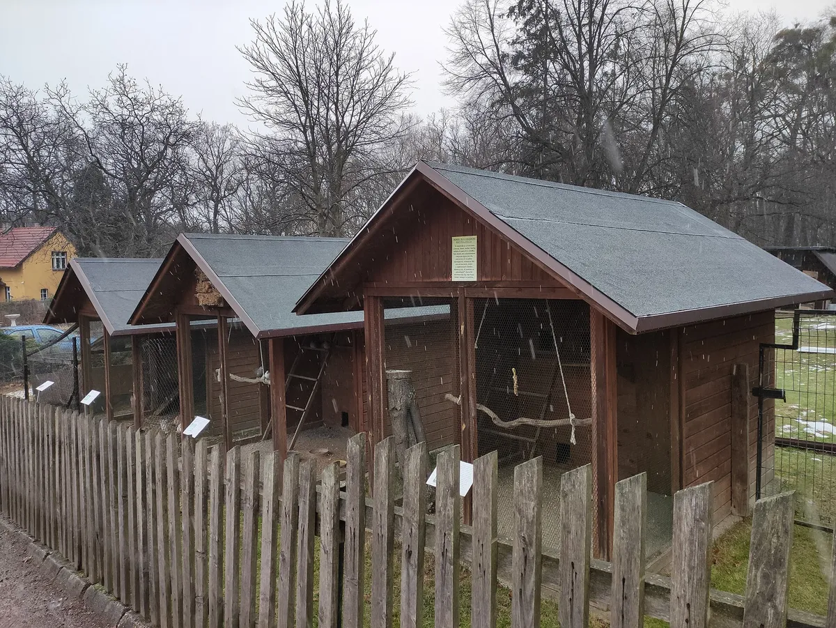 Mini Zoo