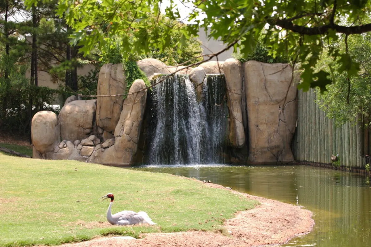 Montgomery Zoo