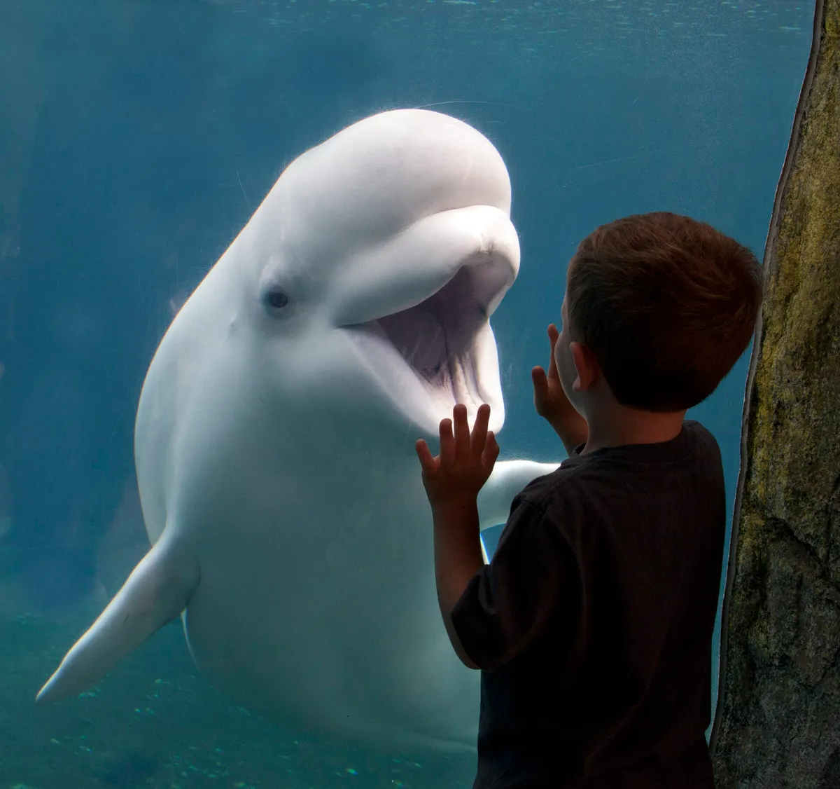 Mystic Aquarium
