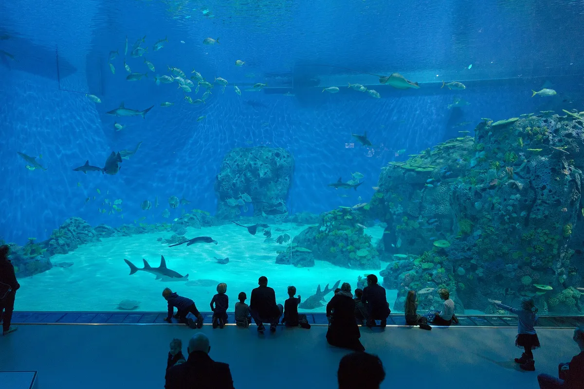 National Aquarium Denmark, Denmark