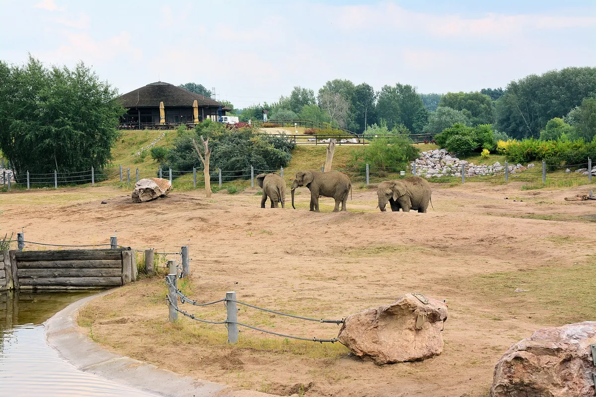 New Zoo