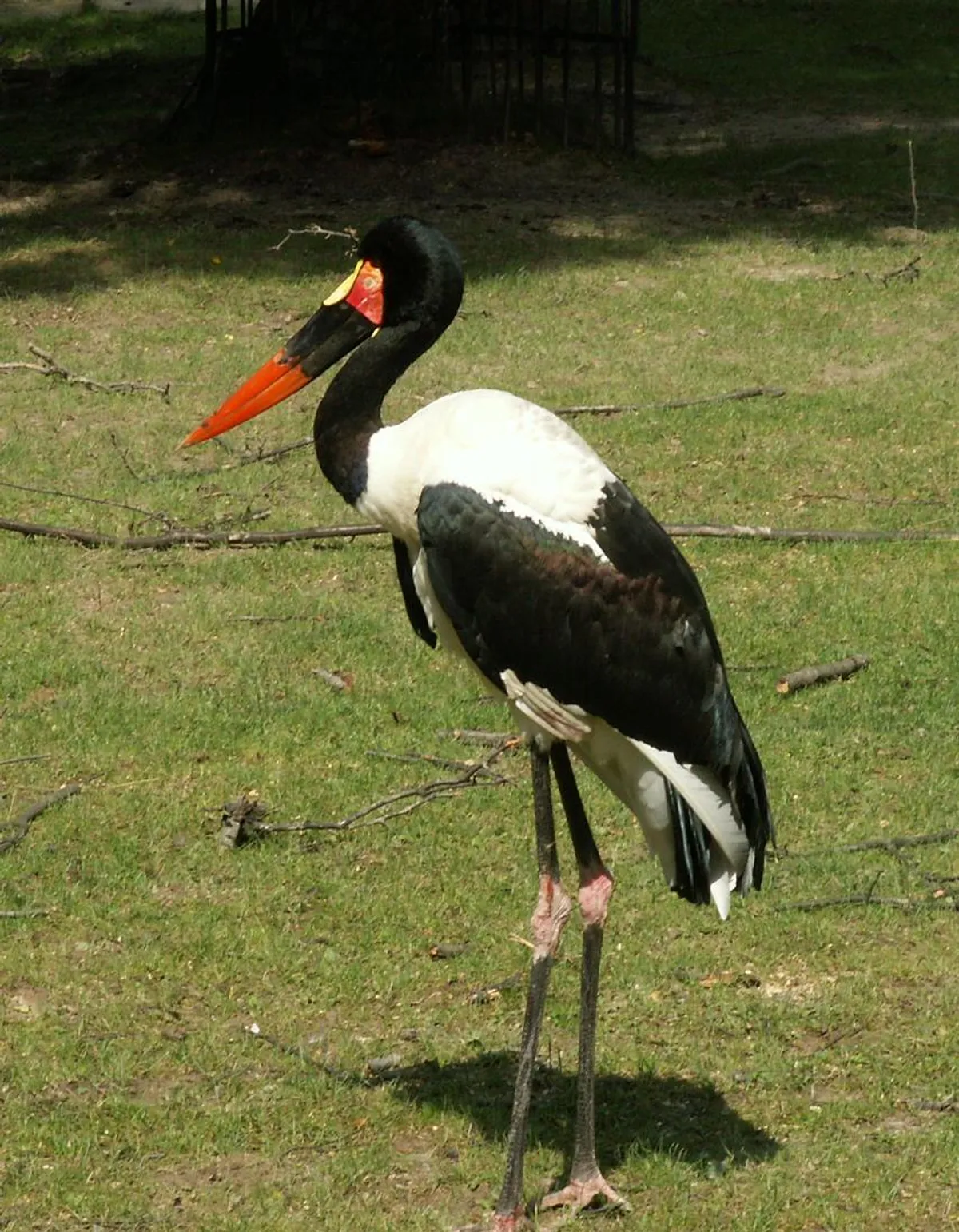 Ogród Zoologiczny w Krakowie