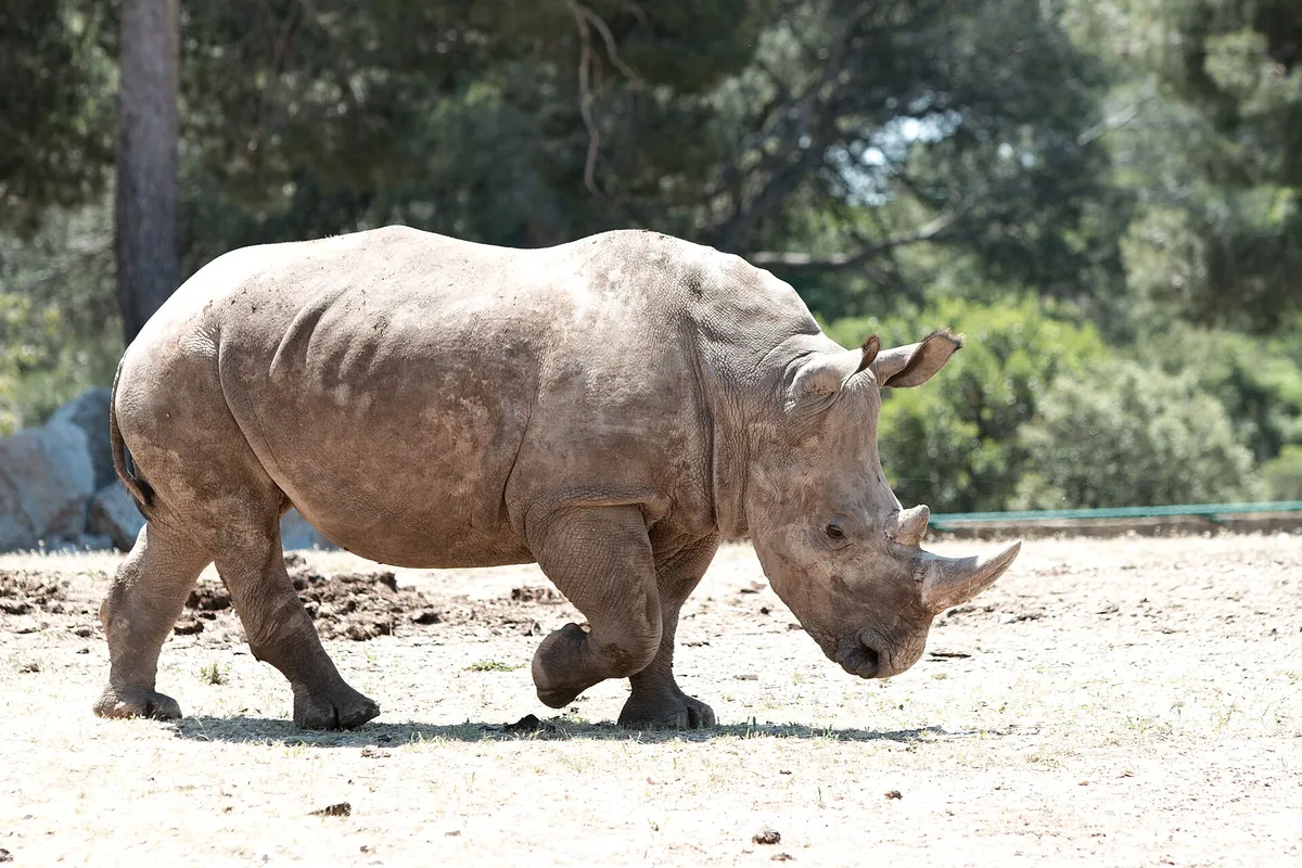 Parc animalier de La Barben