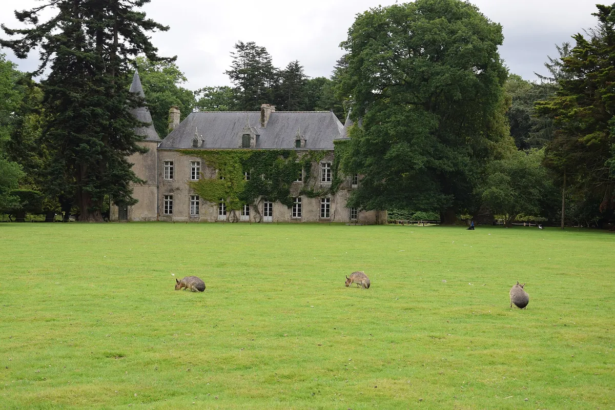Parc animalier et botanique de Branféré