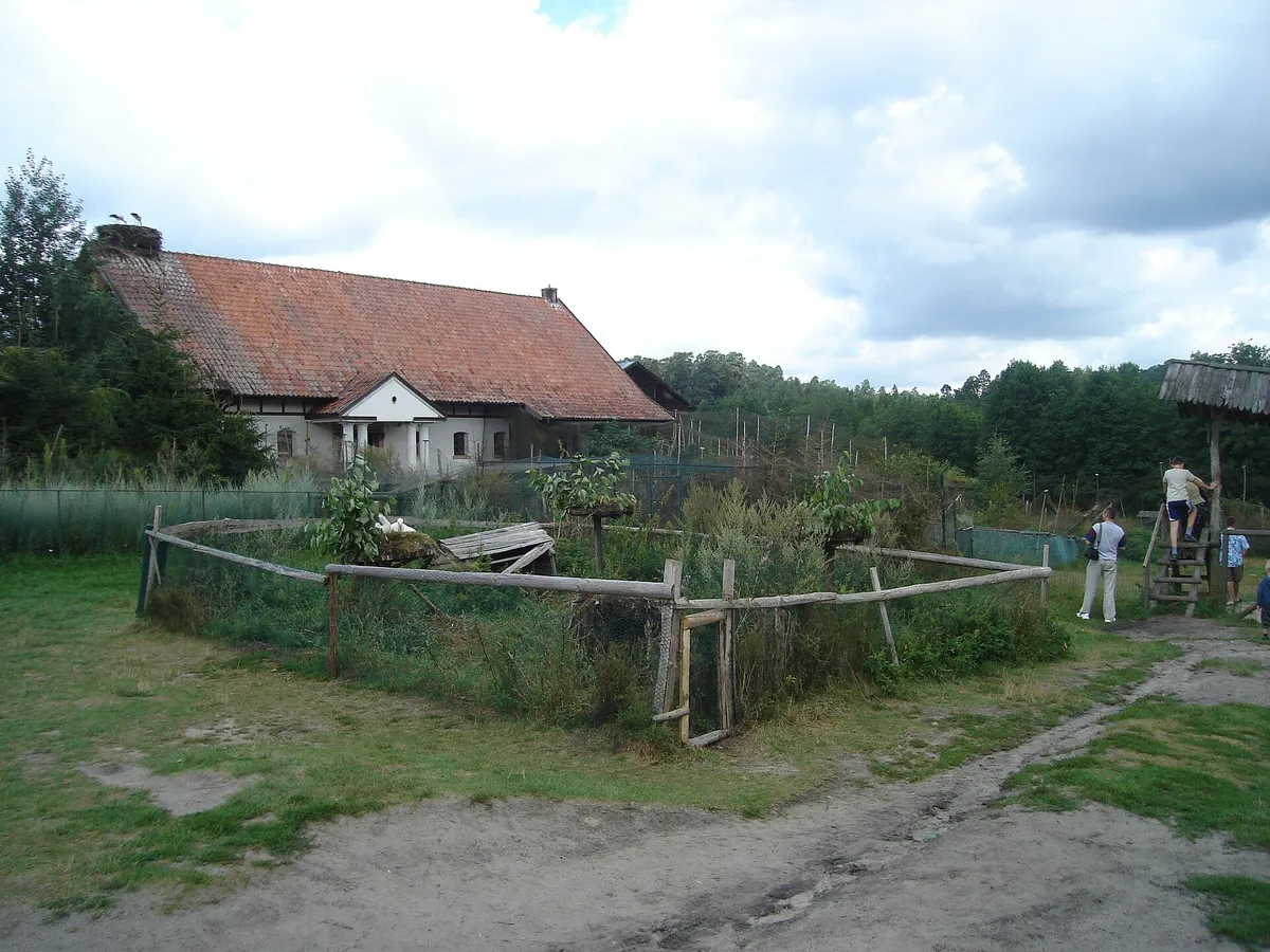 Park Dzikich Zwierząt w Kadzidłowie