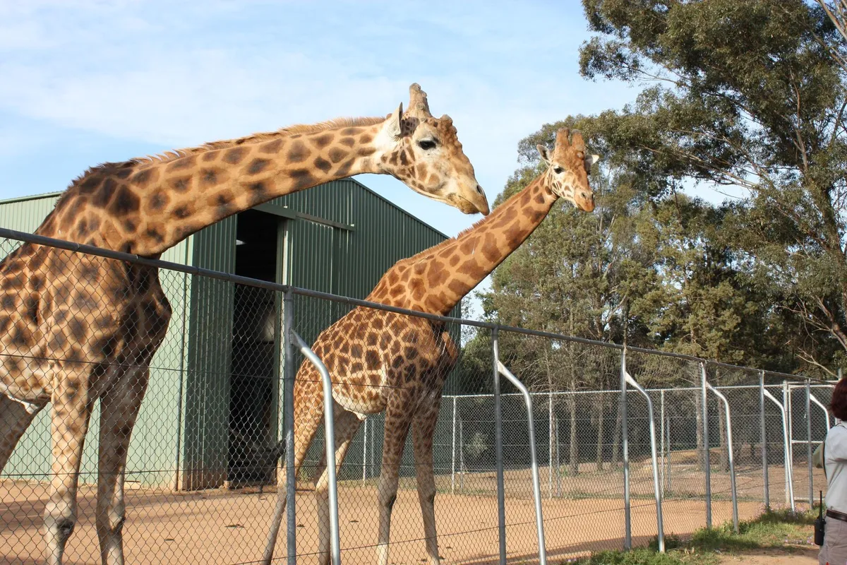 Taronga Western Plains Zoo