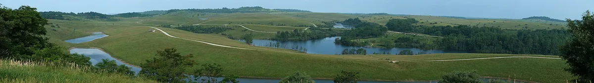 The Wilds