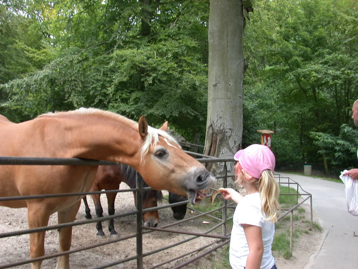 Tierpark Sassnitz