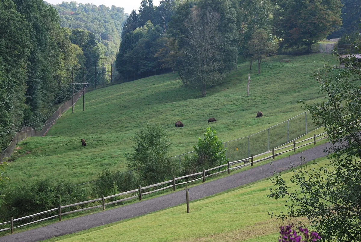 West Virginia Wildlife Center