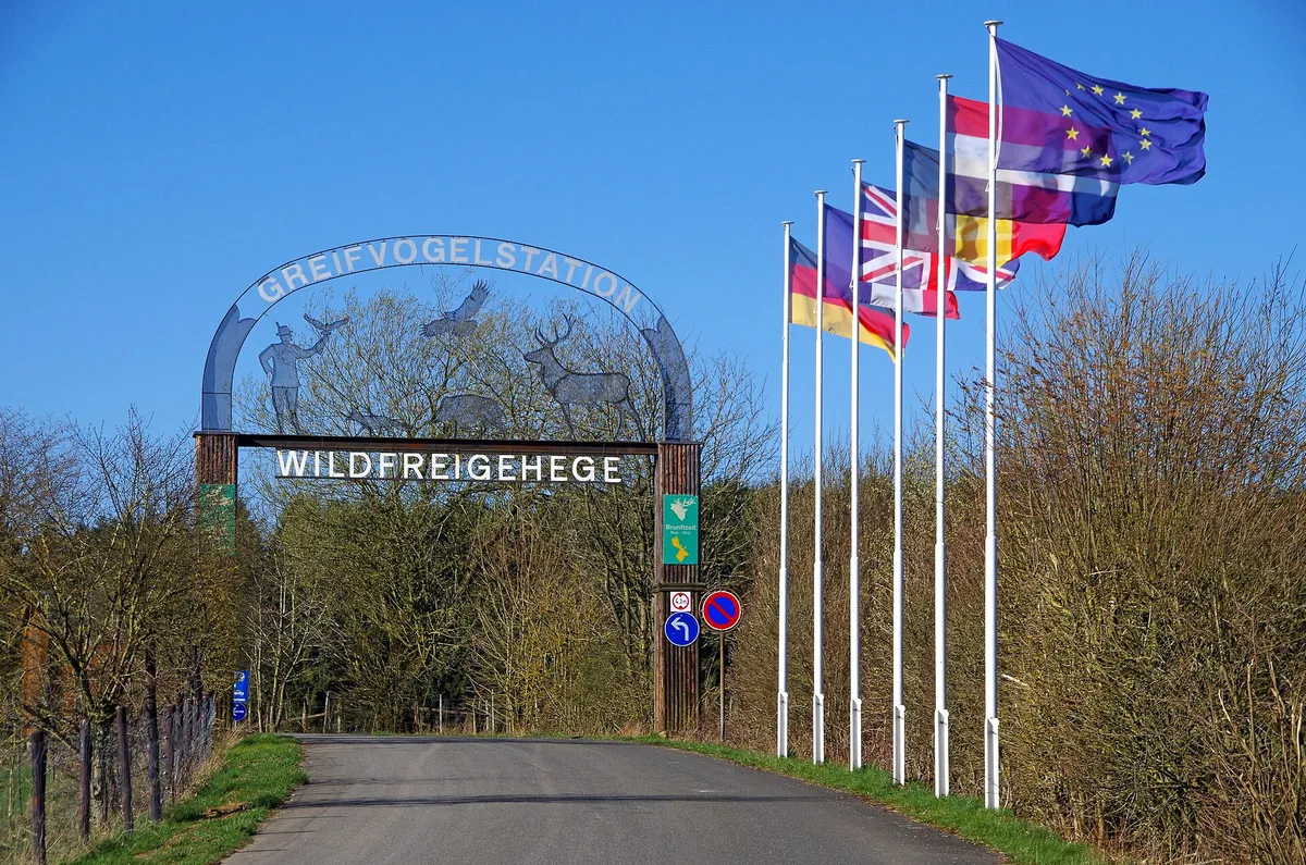 Wildfreigehege Hellenthal