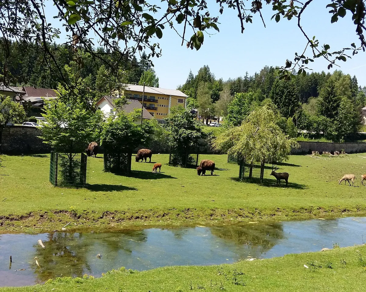 Wildpark Rosegg