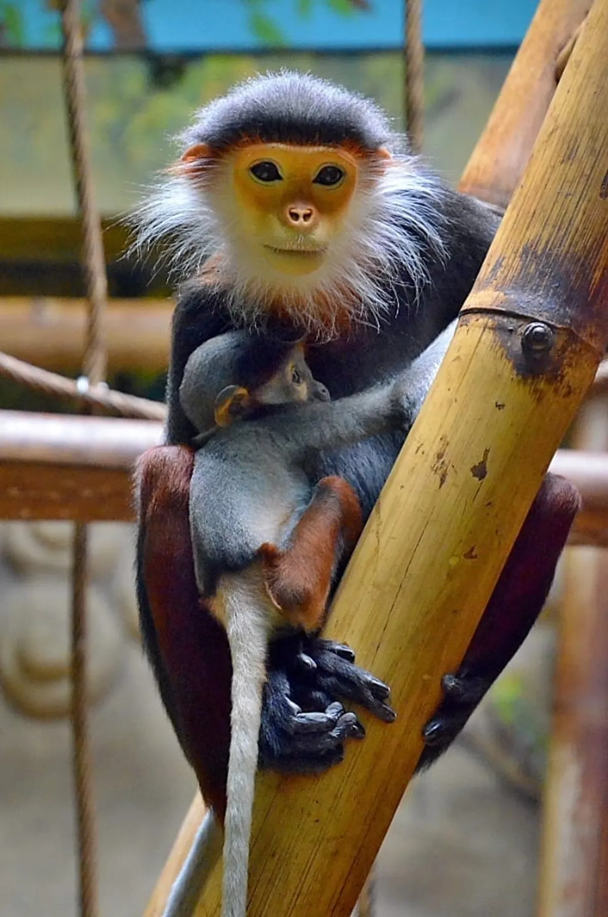 Zoo Chleby