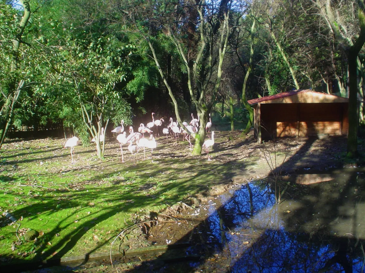 Zoo de Lourosa