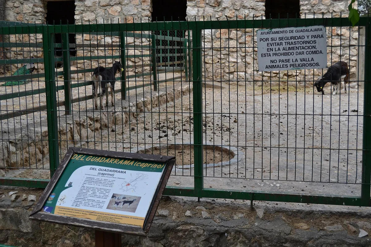 Zoo municipal de Guadalajara